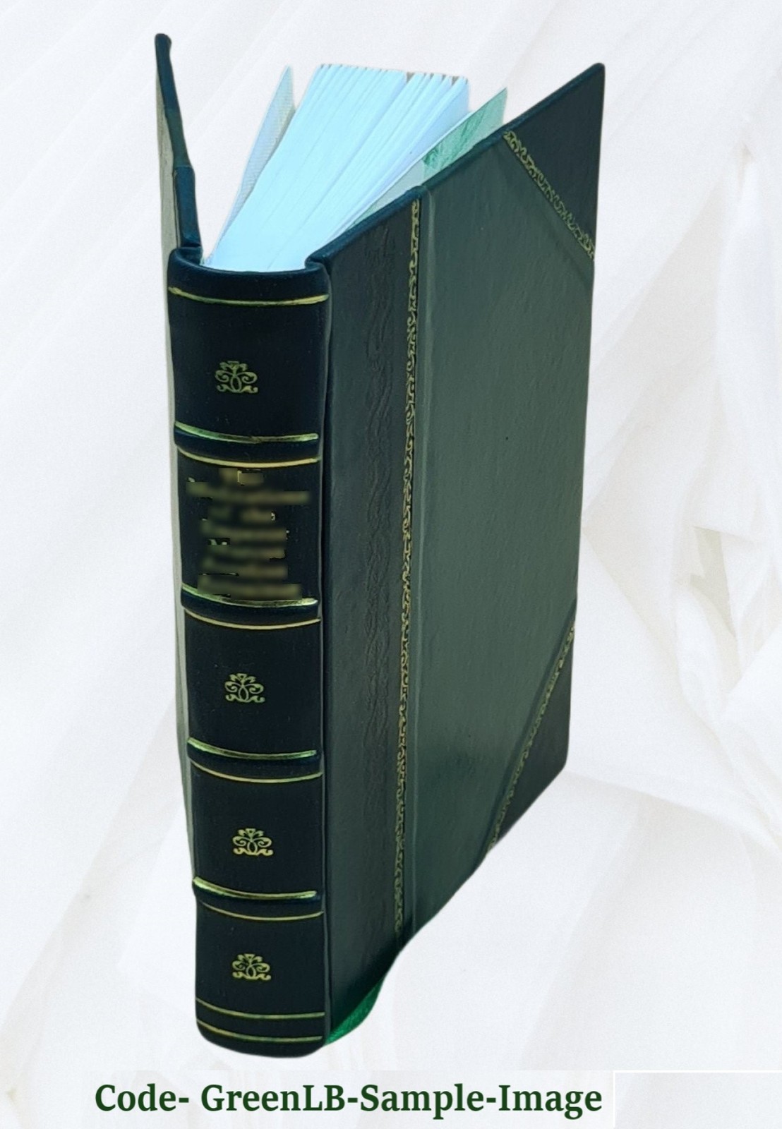 The Principles Of Light And Color 1896 By Edwin D. Babbitt [Leather Bound]