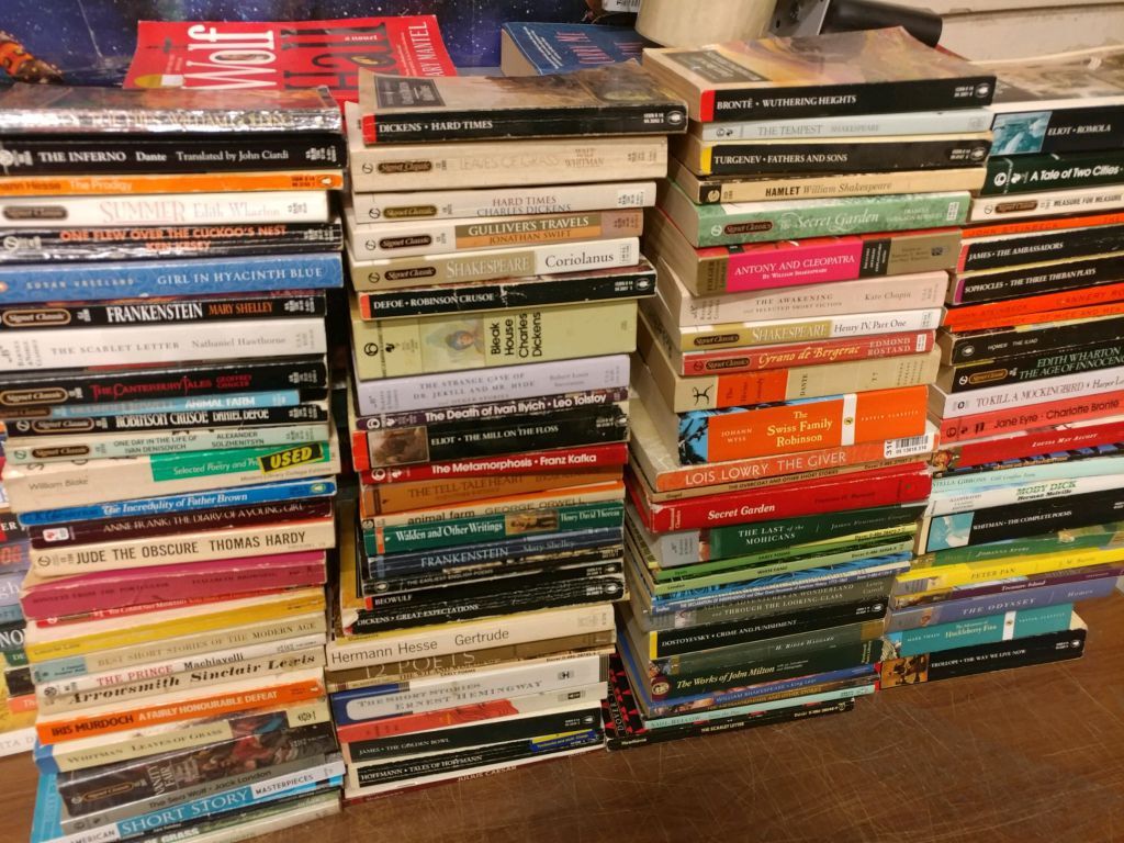 Books by Genre 5 LBS (Pounds) Box Value Lot Sorted Hardback / Paperback MIX SET