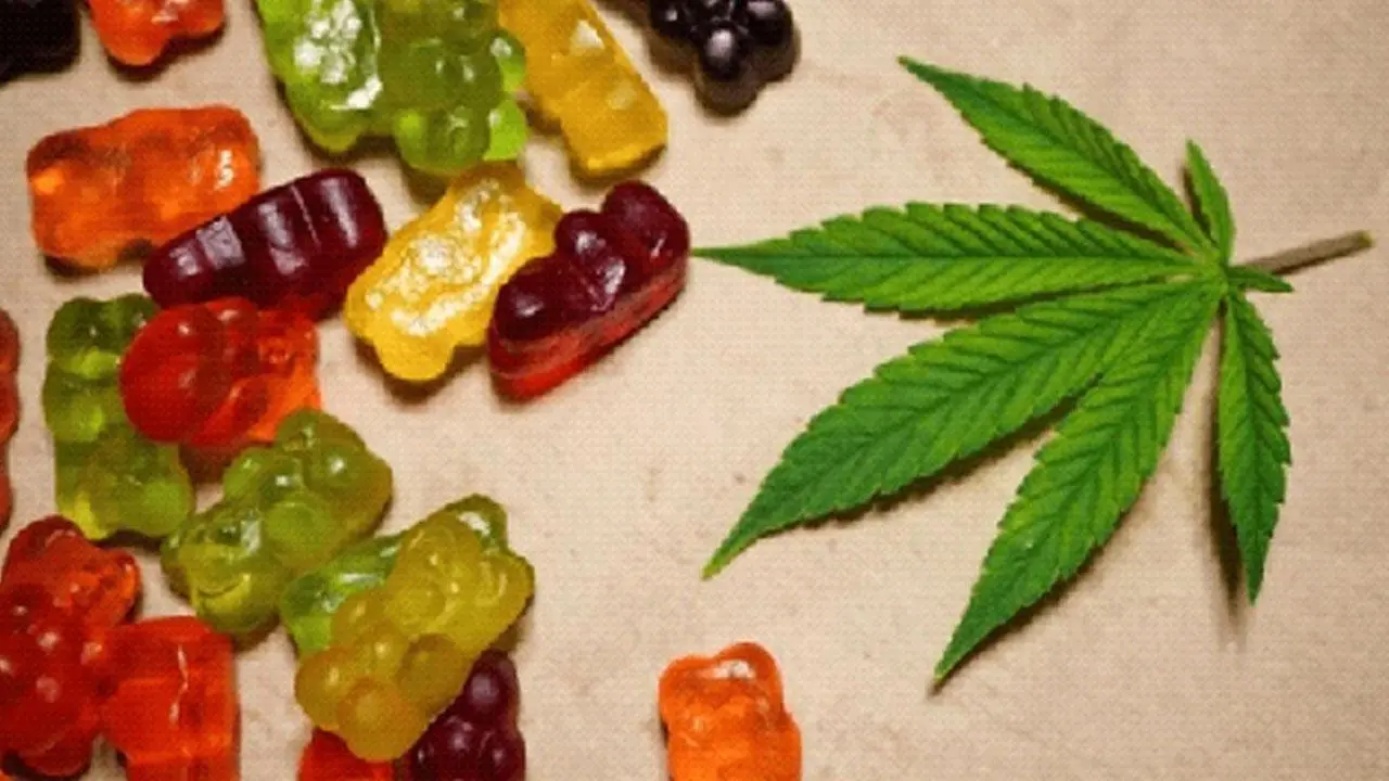 Discovering the Relaxation Power of Delta 8 Infused Gummies
