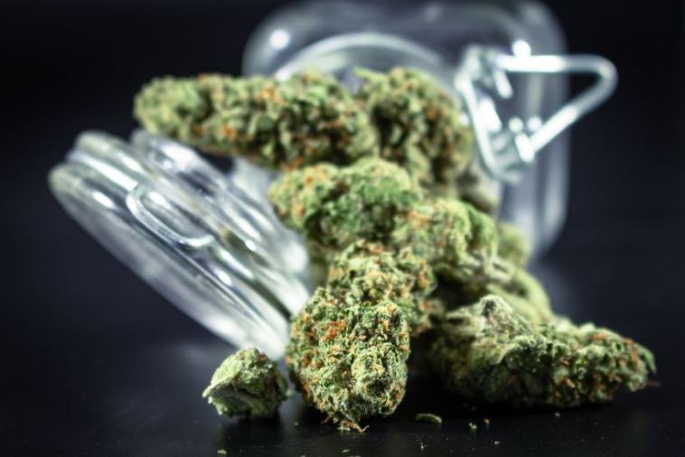Crafting Sativa and Indica Strains by Exhale Wellness
