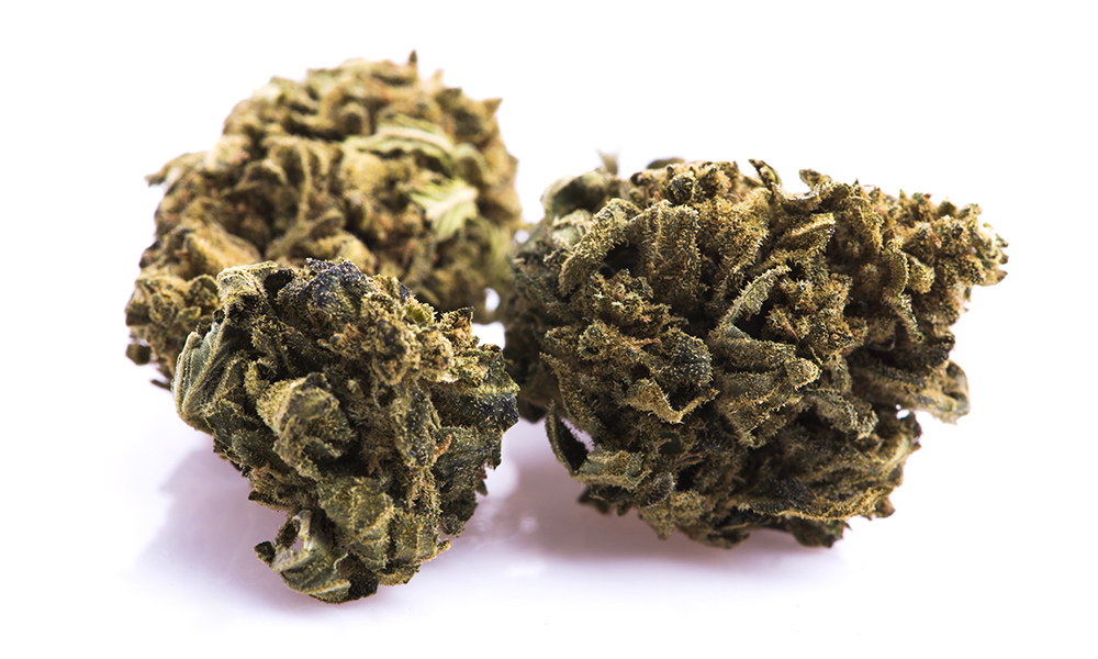 A Brief Description to Hemp and Marijuana: Key Details for Newcomers