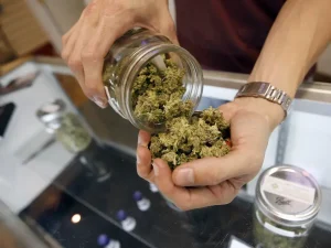 Are There Any Side Effects of Using CBD Hemp Flower Products?