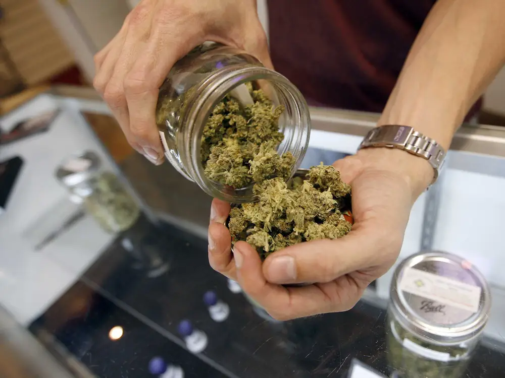 Are There Any Side Effects of Using CBD Hemp Flower Products?
