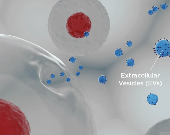 What are stem cells, and how might they change medicine?
