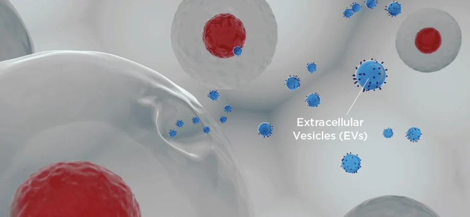 What are stem cells, and how might they change medicine?