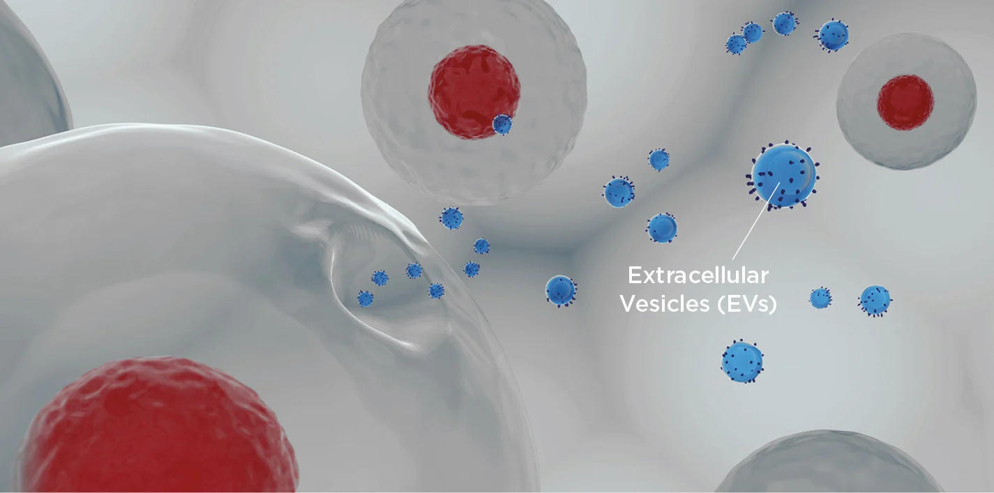 What are stem cells, and how might they change medicine?